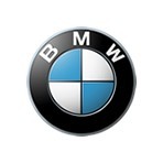 BMW Leather Dye