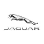 Jaguar Leather Dye