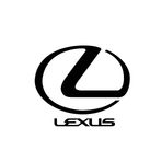 Lexus Leather Dye