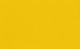 giallo taurus - yellow taurus
